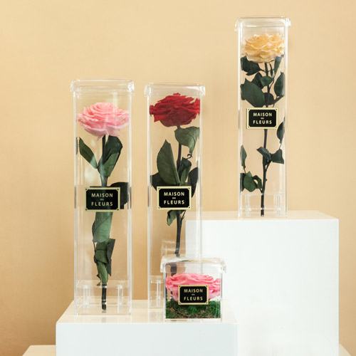 Emirati Women's Day Flowers - Long Life Roses
