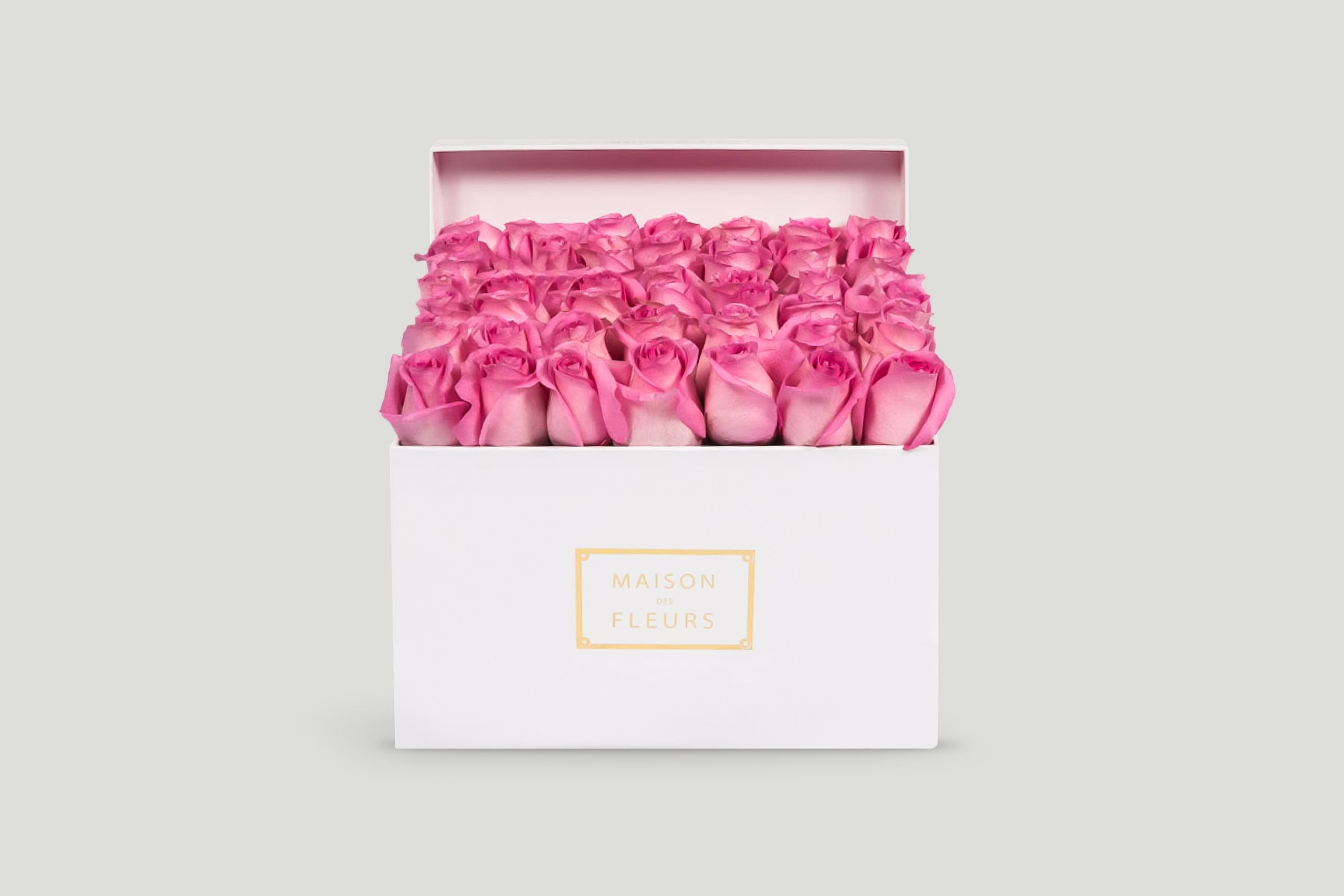 FR67-1 Maison De Fleurs
