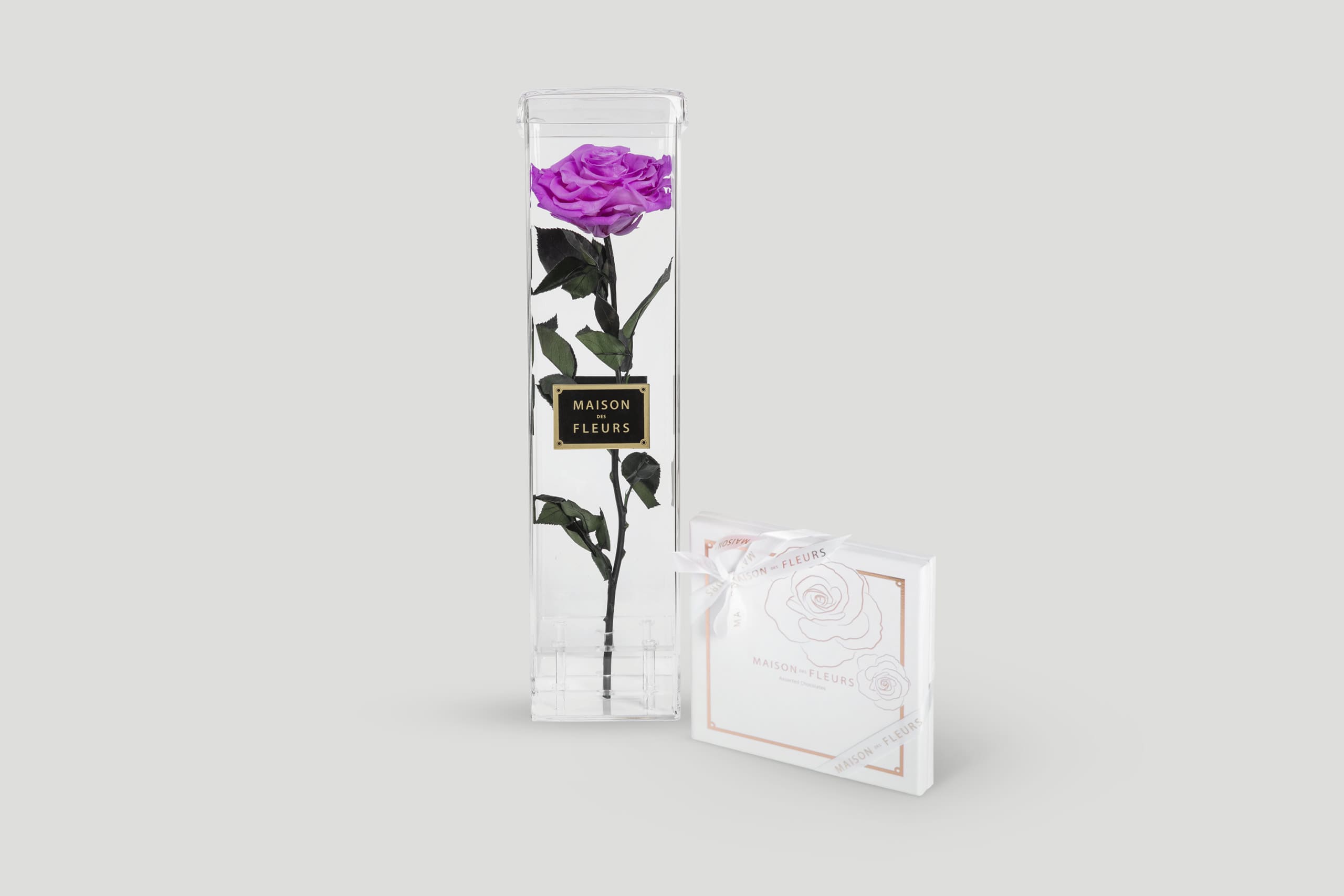 Preserved Purple Rose in a Clear Glass Tube with a Gift Box