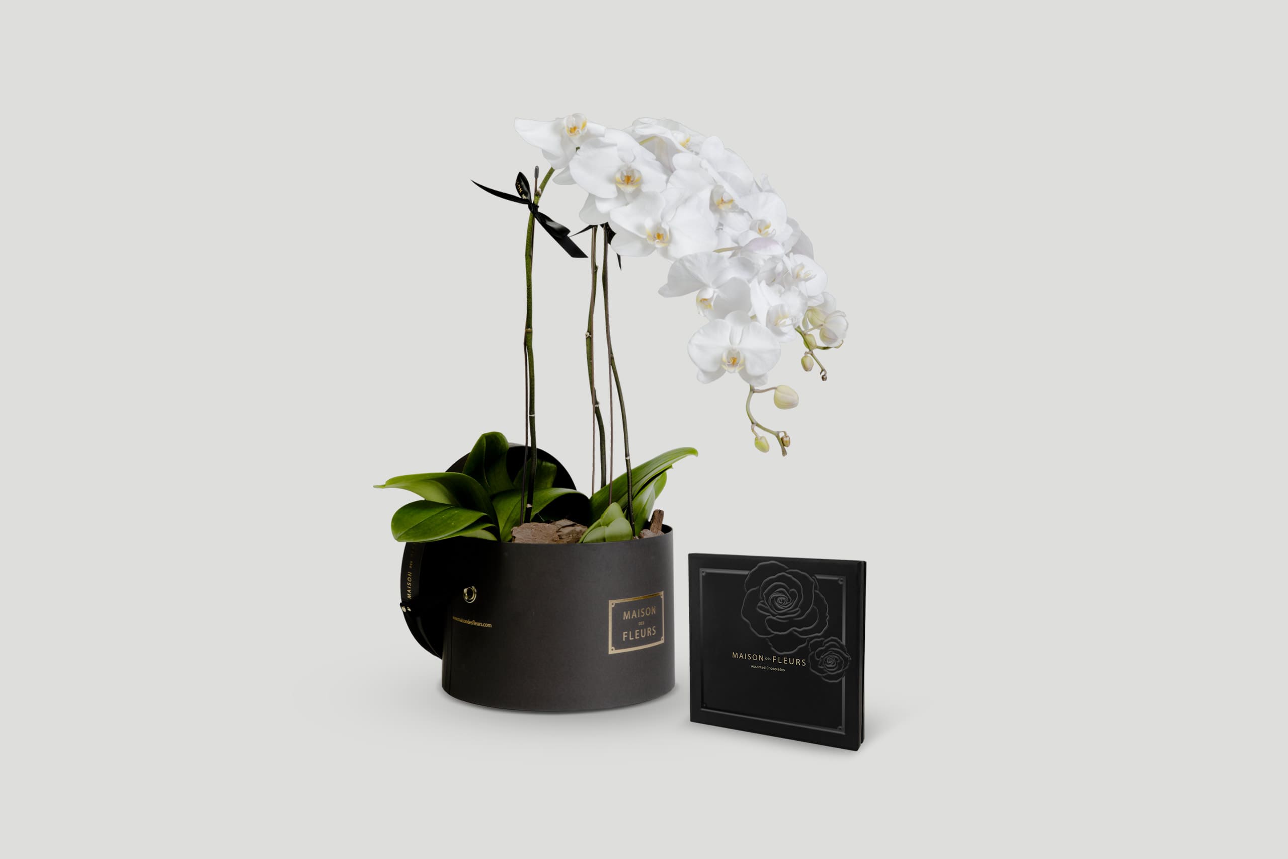 flower gift