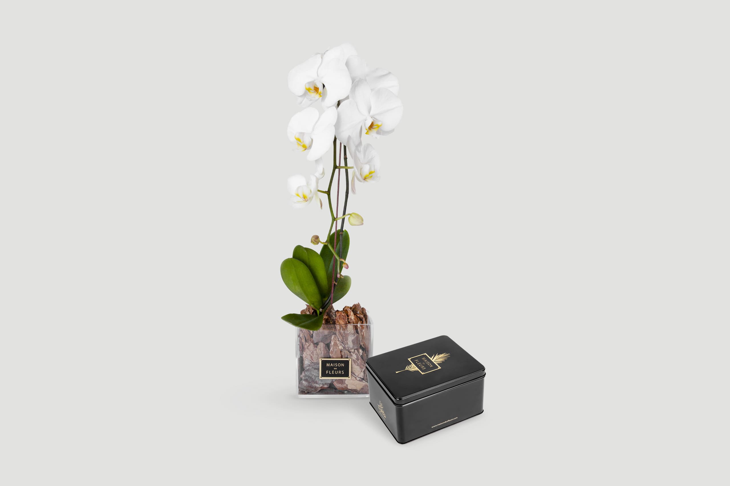 flower shop uae