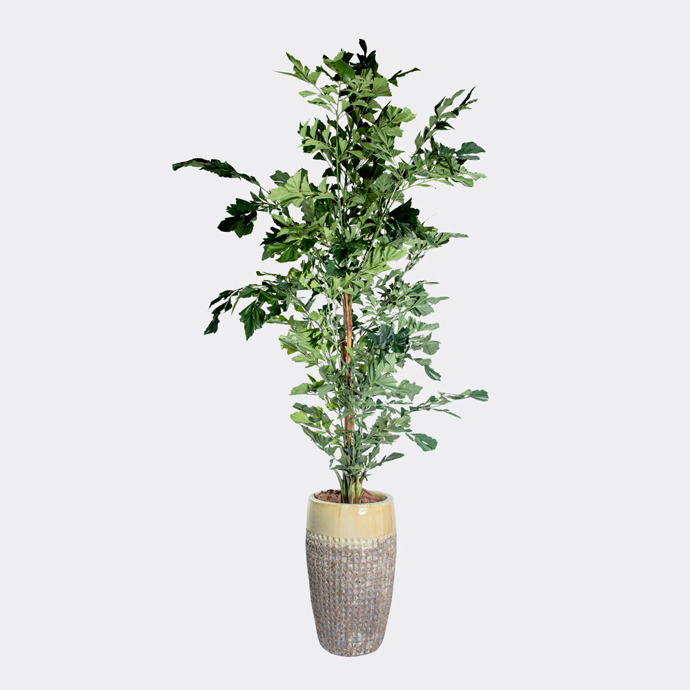 Faux plants - Maison Des Fleurs