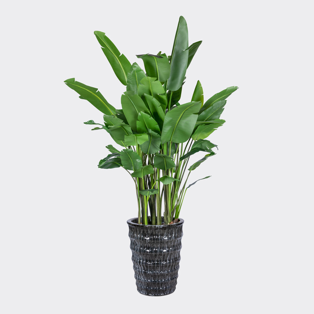 Faux plants - Maison Des Fleurs